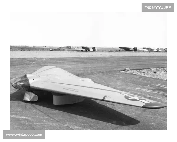 冰虫鳞片的独特功能特性及其在生物学和材料科学中的应用探索 冰虫鳞片的独特功能特性及其在生物学和材料科学中的应用探索